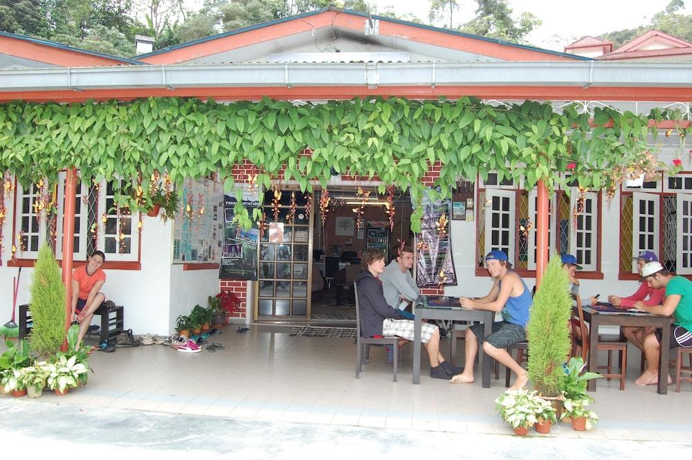 Rovers Cameron Highlands
