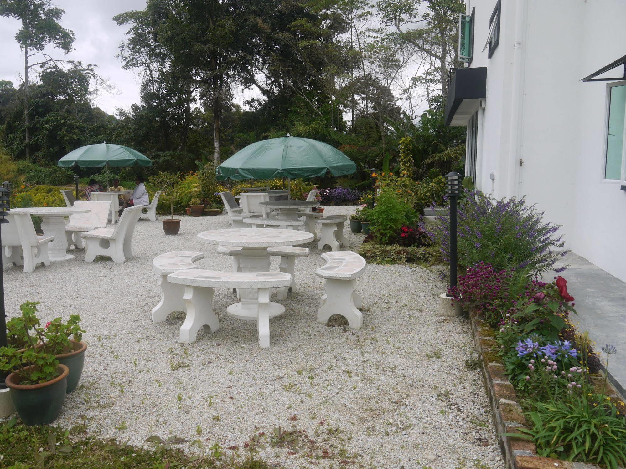 Rovers Cameron Highlands