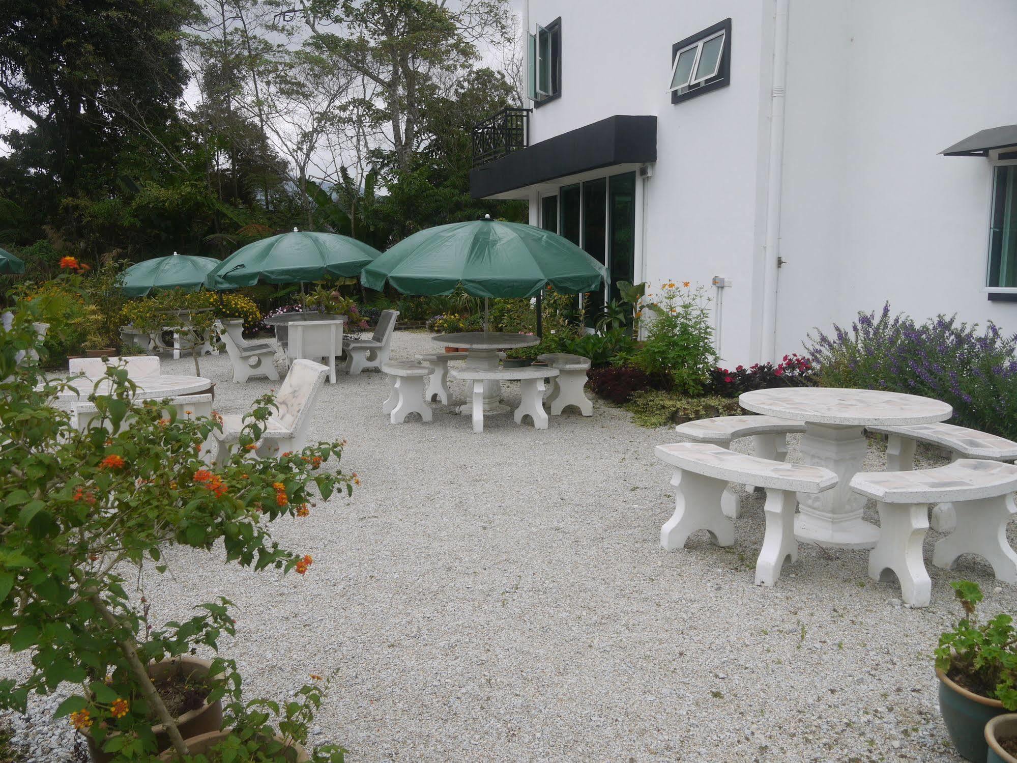 Rovers Cameron Highlands