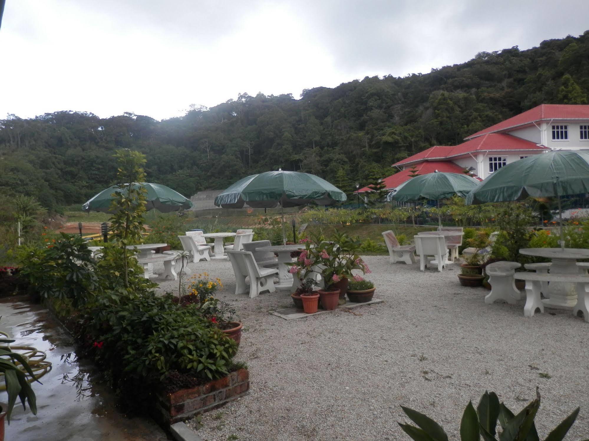 Hotel Rovers 2*